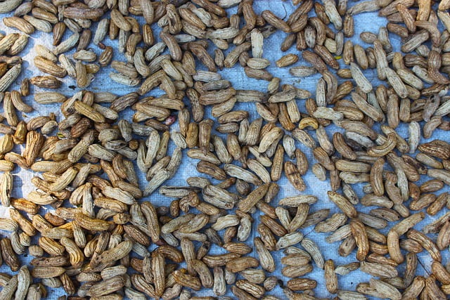 peanuts drying process